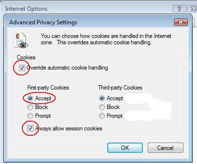 IE advanced privacy settings